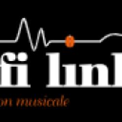 Hifi Link L'émotion Musicale