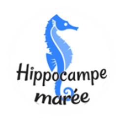 Hippocampe Marée