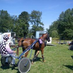 Hippodrome De La Prairie Malicorne