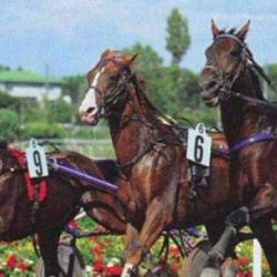Hippodrome De Marville