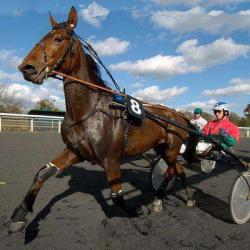 Hippodrome Paris-vincennes