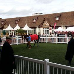 Hippodrome Du Putois
