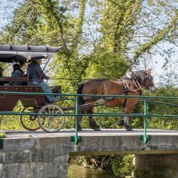 Centre Equestre Poney-club Du Val De Seugne