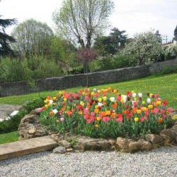 Les Jardins De Didier