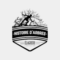 Histoire D'arbres