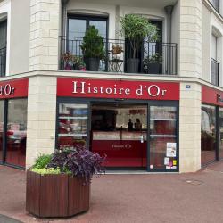 Histoire D'or