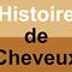 Histoire De Cheveux