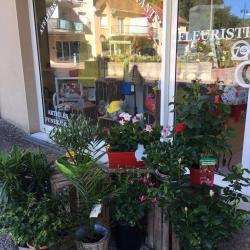 Histoire De Fleurs