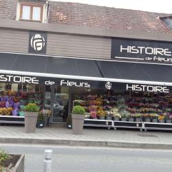 Histoire De Fleurs