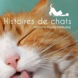 Histoires De Chats
