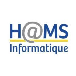 H@ms Inform@tique