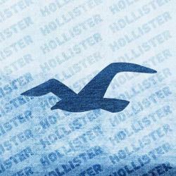 Hollister Co