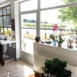 Home Renov