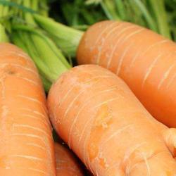 Hop'la Ferme