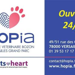 Hopia   Clinique Veterinaire Bozon