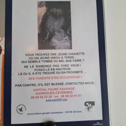 Hôpital Faune Sauvage