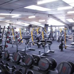 Horizon Fitness Expérience