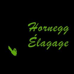Hornegg. G élagueur Du 78