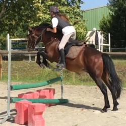 Horse Club De Bordeaux