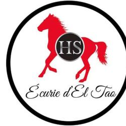 Horse Sale Ecurie D El Tao