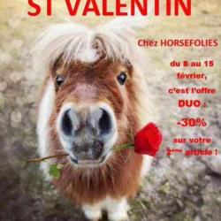 Horsefolies