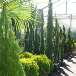 Horticole Nicolas Bailly