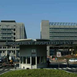 Musée Des Hospices Civils De Lyon