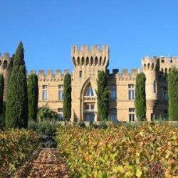 Château Des Fines Roches