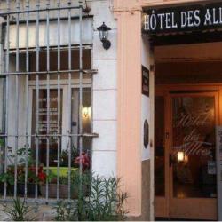 Hotel Des Allees