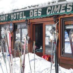 Hôtel Des Cimes