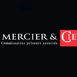 Hôtel Des Ventes Mercier Automobiles - Cavaillon