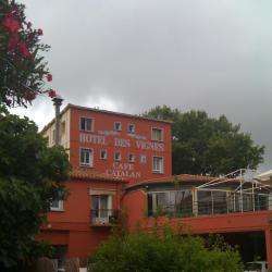 Hôtel Des Vignes
