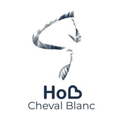 Hôtel Du Cheval Blanc