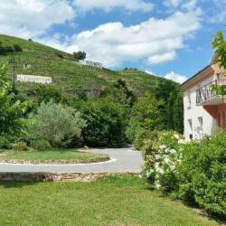 Hôtel Le Domaine Des Vignes