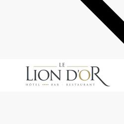 Hôtel Le Lion D'or