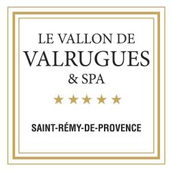 Hôtel Le Vallon De Valrugues & Spa