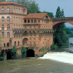 Mercure Albi Rives Du Tarn