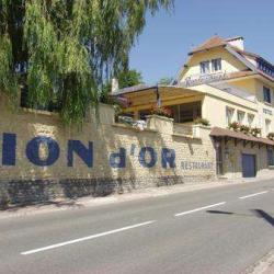 Hotel Restaurant Du Lion D'or