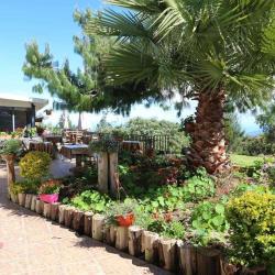 Hotel Restaurant Les Geraniums