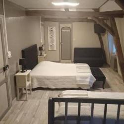 Hotel Vieille France