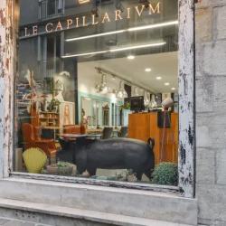 Le Capillarium