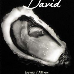 Huitres David