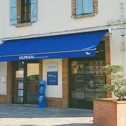 Human Immobilier Villemur Sur Tarn