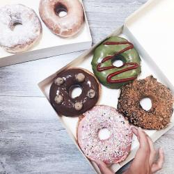 Humm...donuts