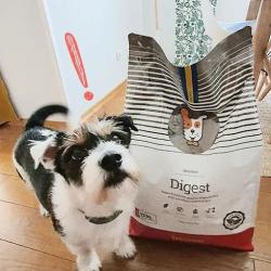 Husse