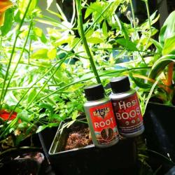 Hydro Et Culture