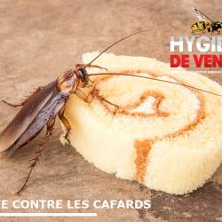 Hygiène De Vendée (hdv3d)