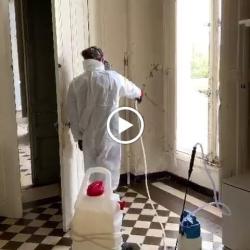 Hygiene Service Solution  - Anti Punaise De Lit - Cafard - Dératisation