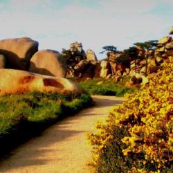 Hypnose/ Hypnotherapie - Montpellier Marilyn Charbit