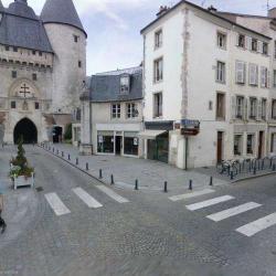 Hypnose Et Magnétisme